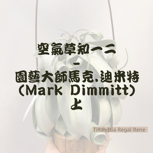 空氣草知一二 -園藝大師馬克.迪米特(Mark Dimmitt)上