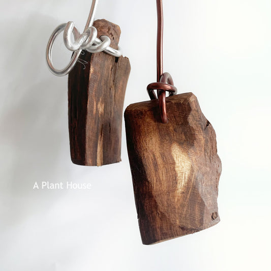 空氣草掛式沉木定植