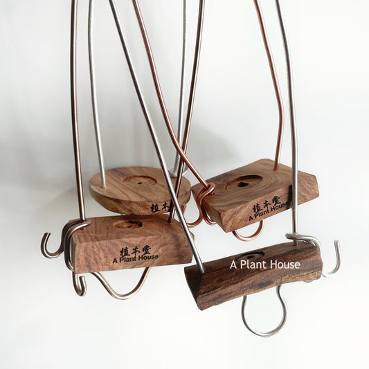 空氣草木片定植掛架