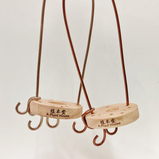 空氣草(赤緹)木片定植掛架(圓)6CM