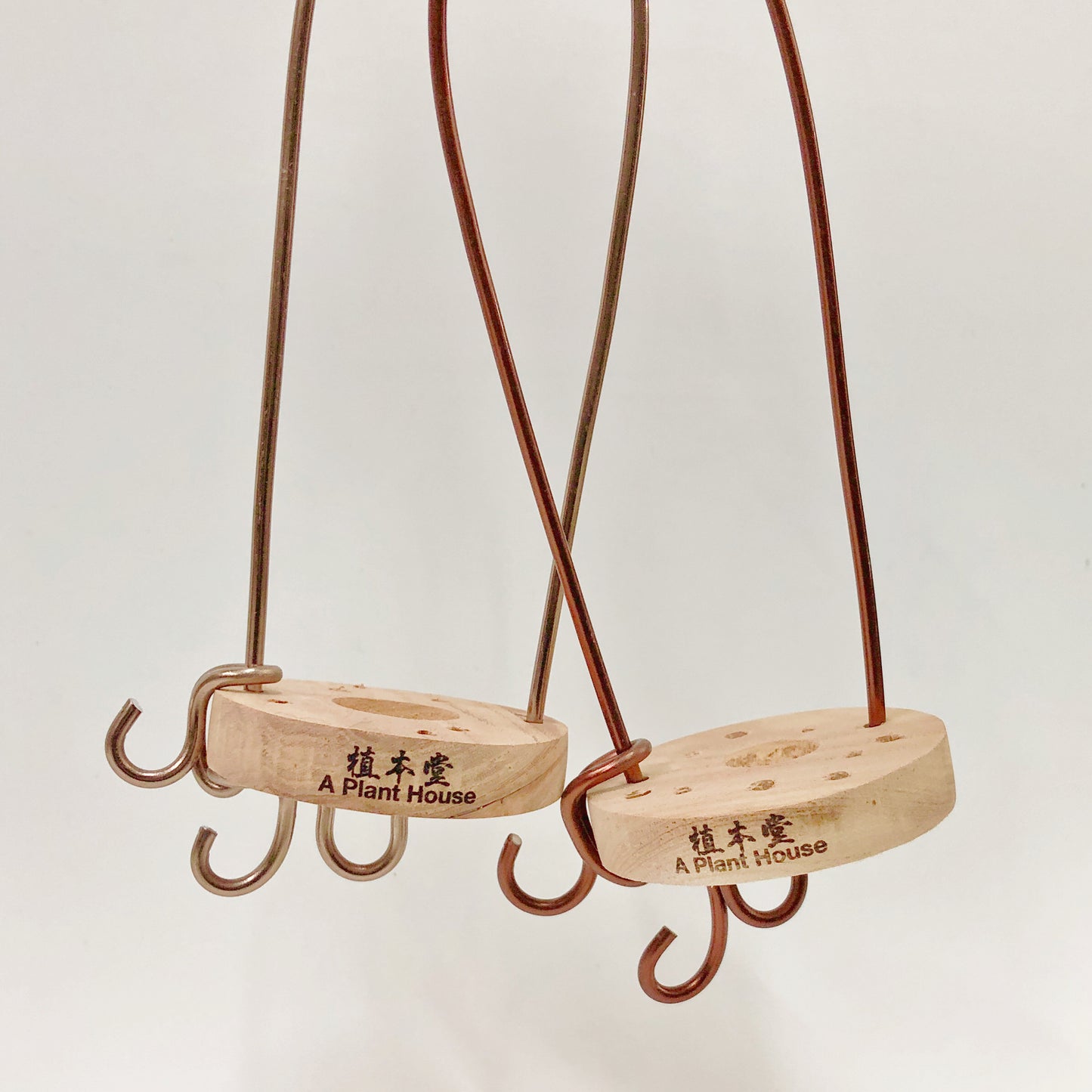 空氣草(赤緹)木片定植掛架(圓)7CM