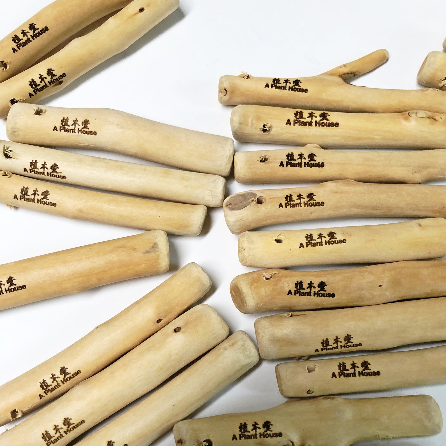 空氣草掛式白木枝定植