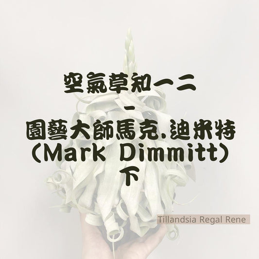 空氣草知一二 -園藝大師馬克.迪米特（Mark Dimmitt）下