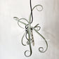 Tillandsia Duratii Giant Clone