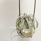 Tillandsia Hedi Gulz