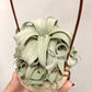 Tillandsia Streptophylla