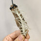 Tillandsia Stellifera