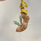 Tillandsia Tricholepis