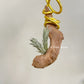 Tillandsia Tricholepis